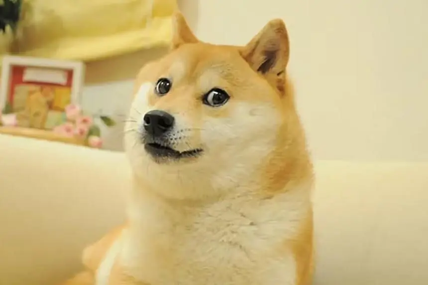 Why do Japanese speakers use "www" or "ww" instead of "lol" or "lmao"?